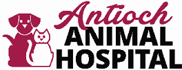 Antioch Animal Hospital